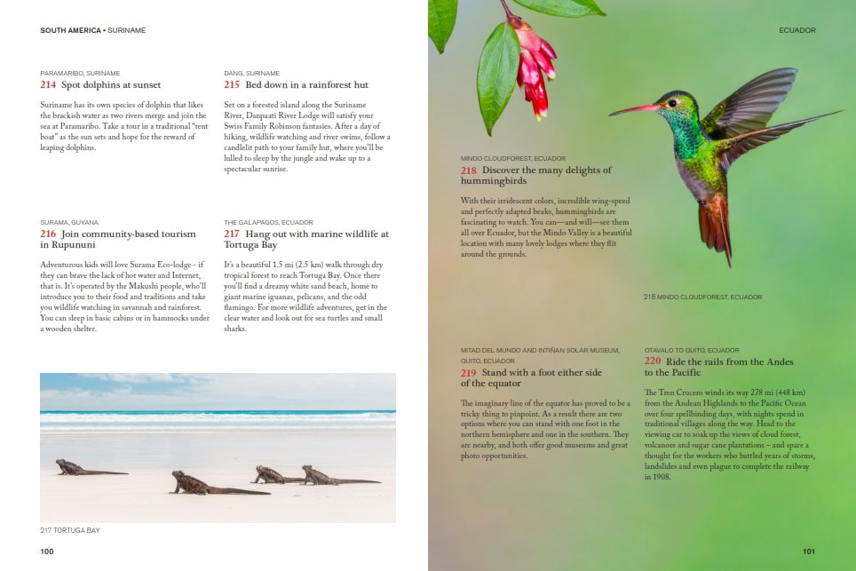 The Family Bucket List bog